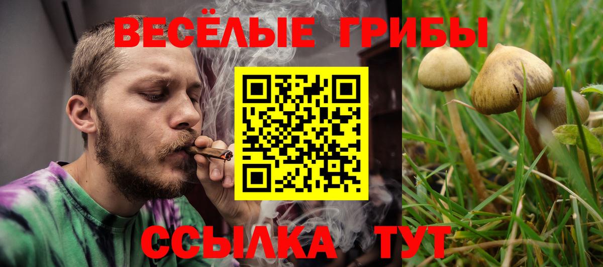 Псилоцибиновые грибы GOLDEN TEACHER Кубинка